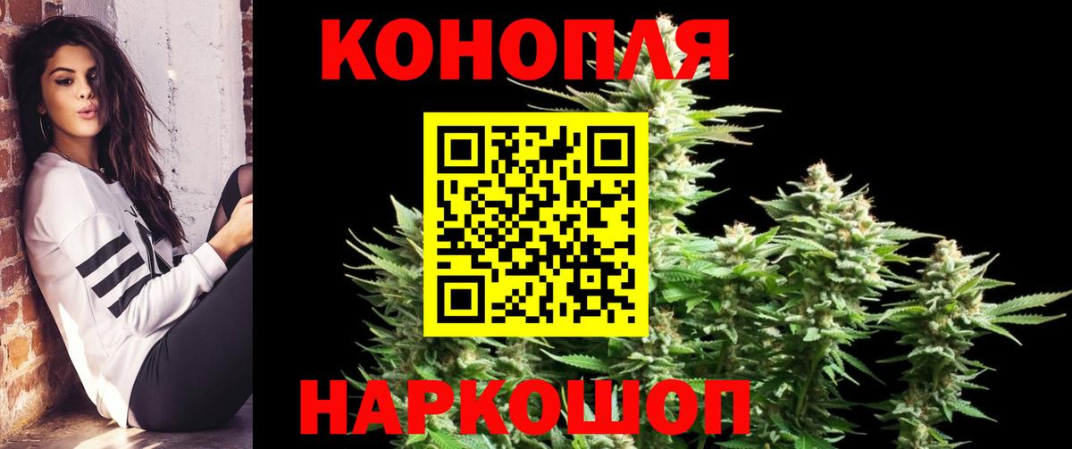Канабис семена Чистополь